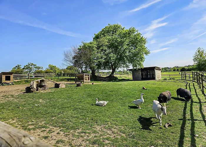 Sejour En Foret 4 Etoiles *